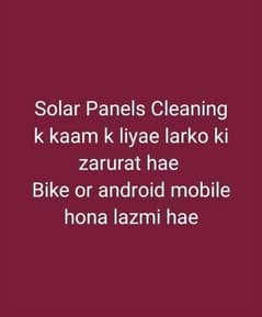 Solar Panel Cleaning