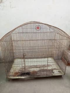 Birds cage