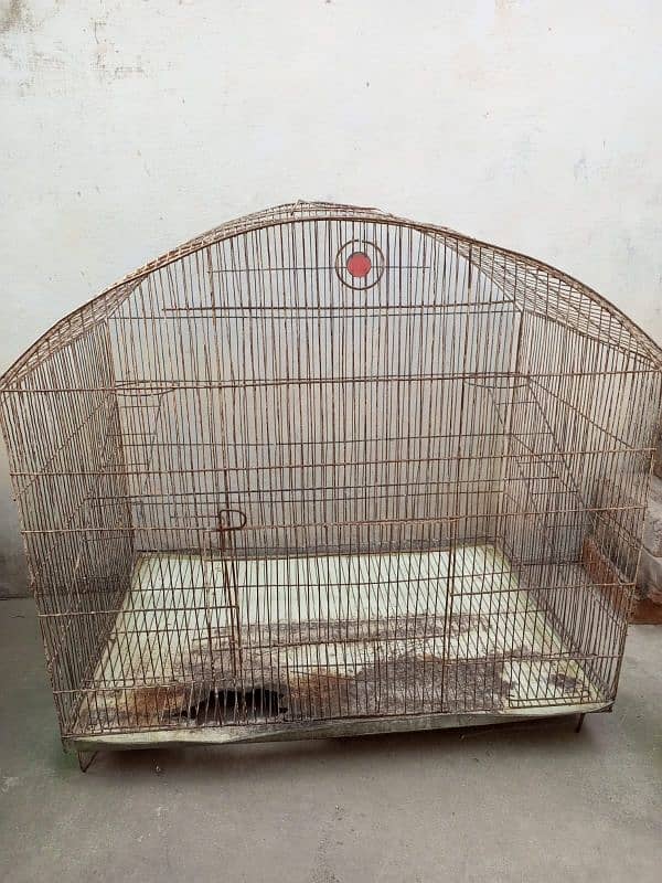 Birds cage 0