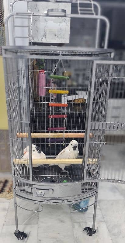 cage for big parrots 0