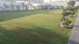 600SQYD GARDEN / LAWN FOR RENT