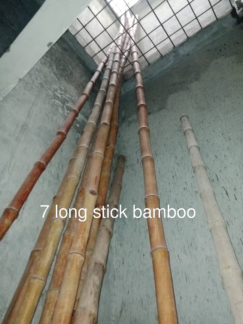 Construction Bamboo Poles long Stick 2