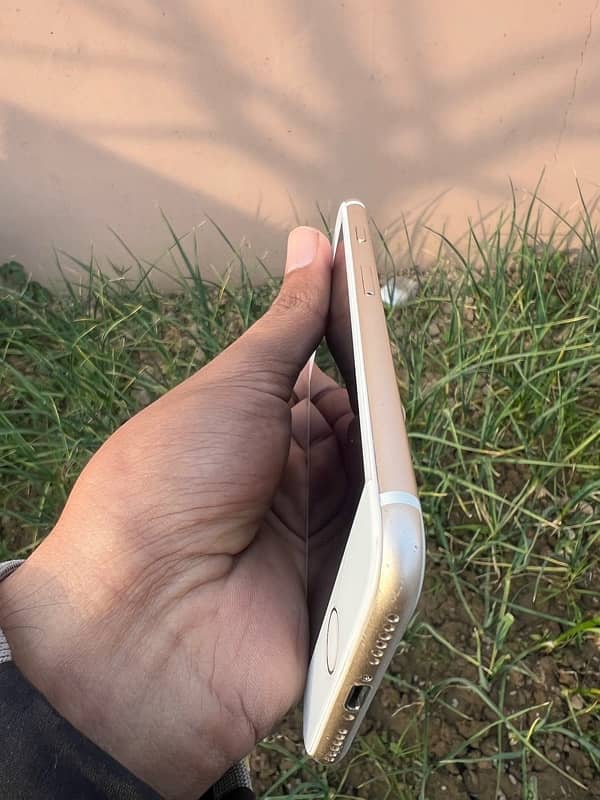 Iphone 7 PTA APROVED 5