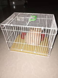 budgies cage