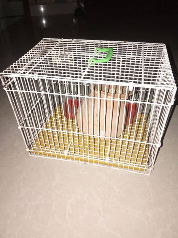 budgies cage 0