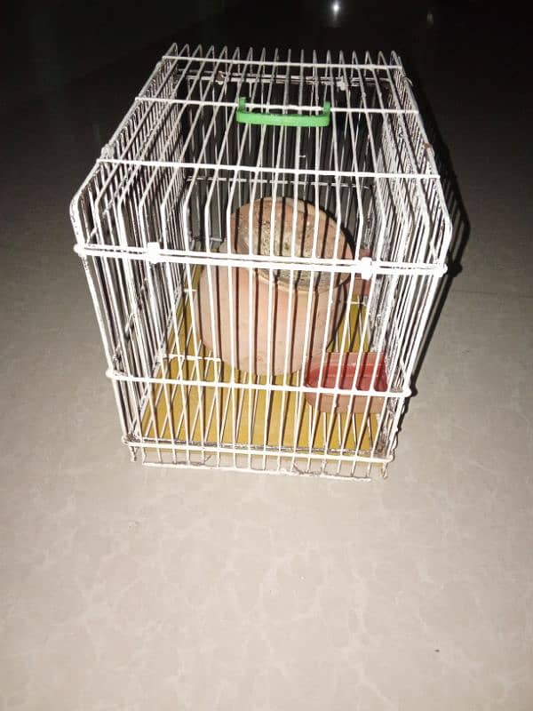 budgies cage 1