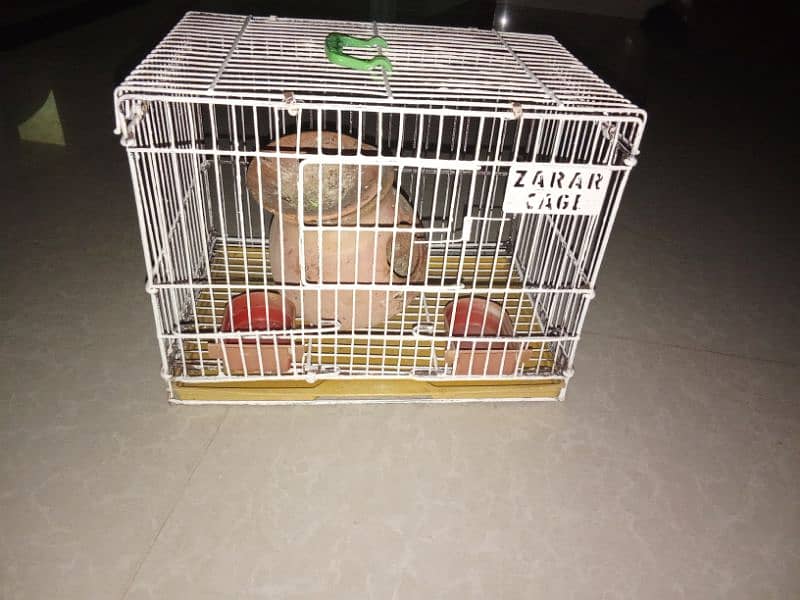 budgies cage 2