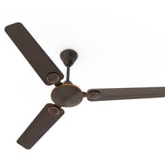 Fan for sell,urgent sell karna hai