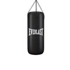 Everlast punching bag and gloves