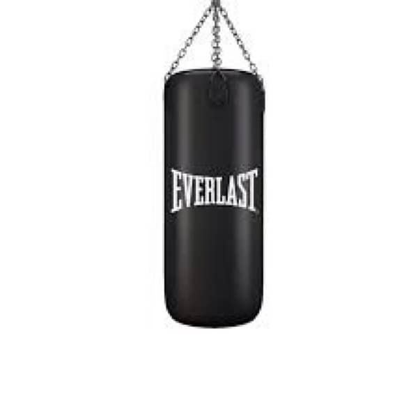 Everlast punching bag and gloves 0