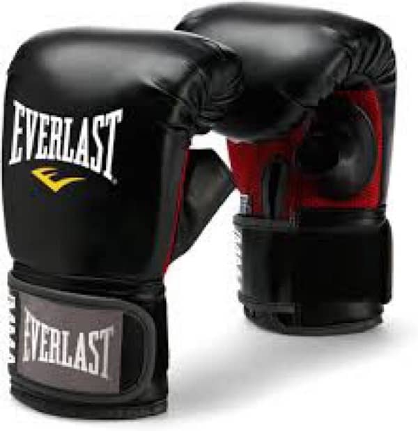 Everlast punching bag and gloves 1