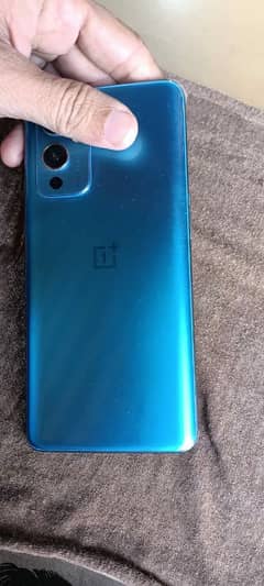 oneplus 9  12/256