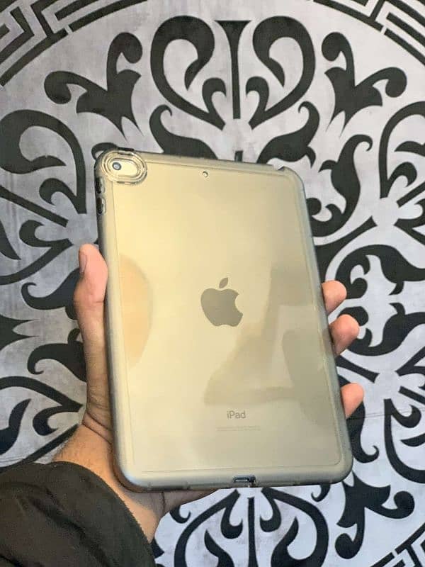 IPAD MINI 5 0