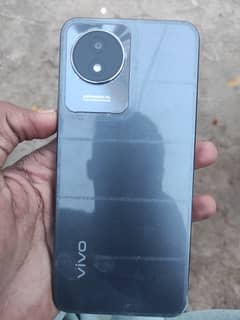 vivo