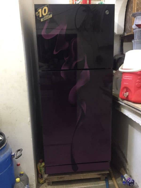 Pel fridge almost new with warranty 2