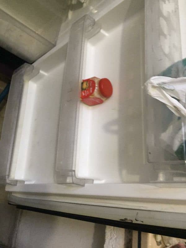 Pel fridge almost new with warranty 10