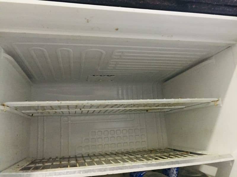 Pel fridge almost new with warranty 12