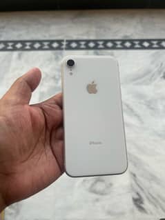 iPhone XR