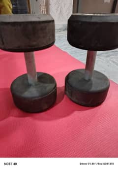 Dumbbells 5kg