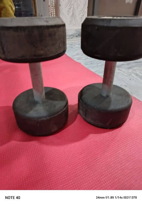 Dumbbells 5kg 0