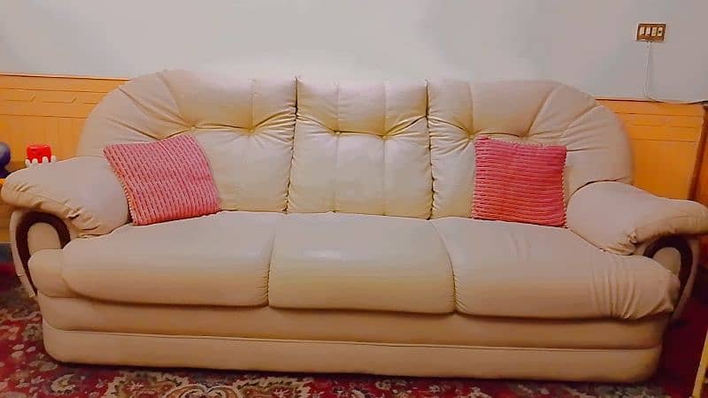 leather sofa 0