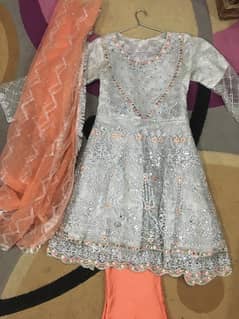 net embroidered frock