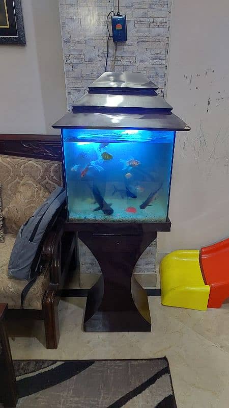 Aquarium for sale with fishes 0