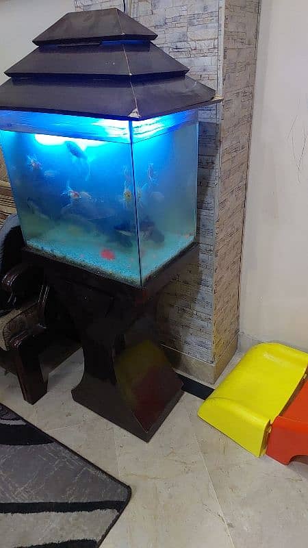 Aquarium for sale with fishes 1