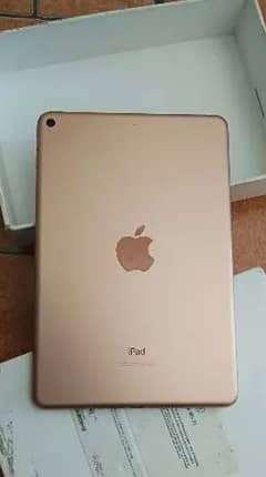 iPad Mini 5