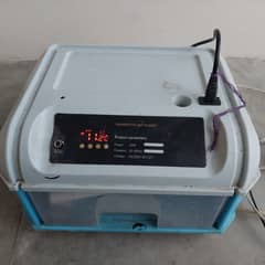 16 eggs incubator fully automatic