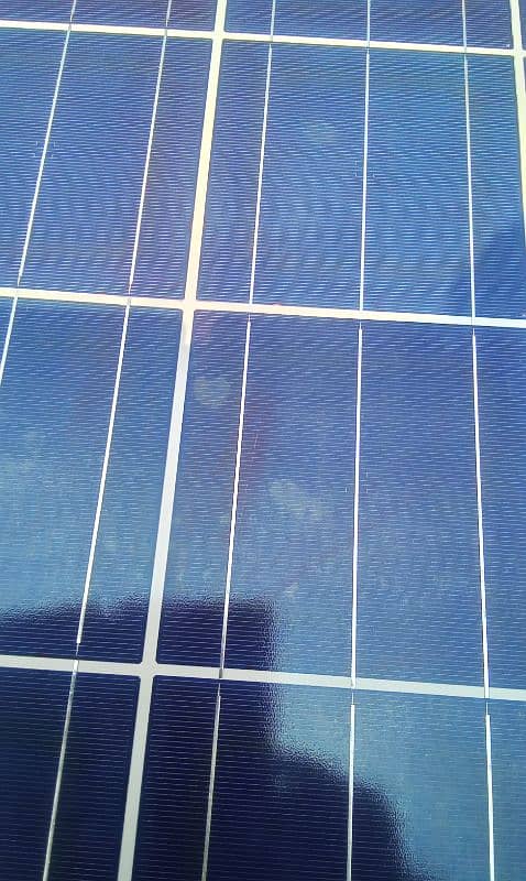 solar panels qty 11 each 260 watt for sale 1