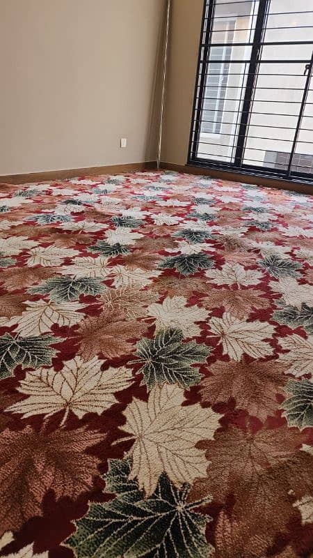 Room Carpet/Kaleen Thick & Soft 0