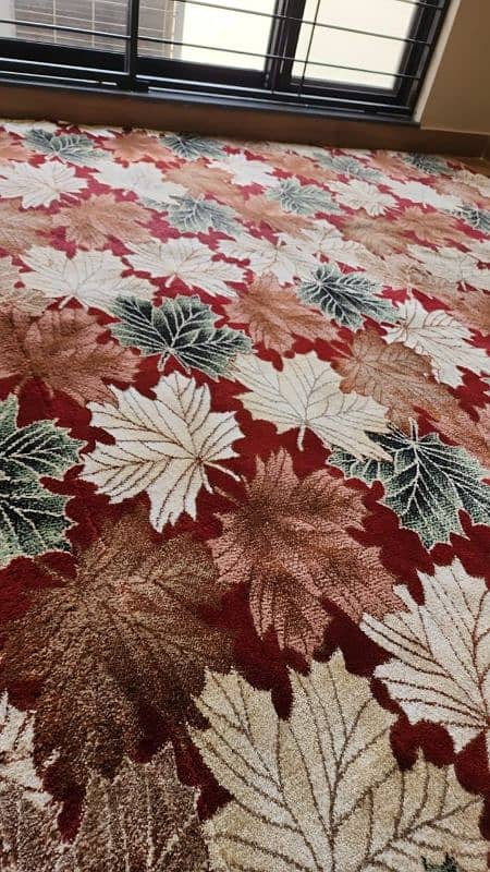 Room Carpet/Kaleen Thick & Soft 1