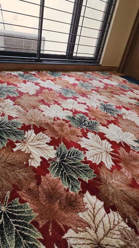 Room Carpet/Kaleen Thick & Soft 2