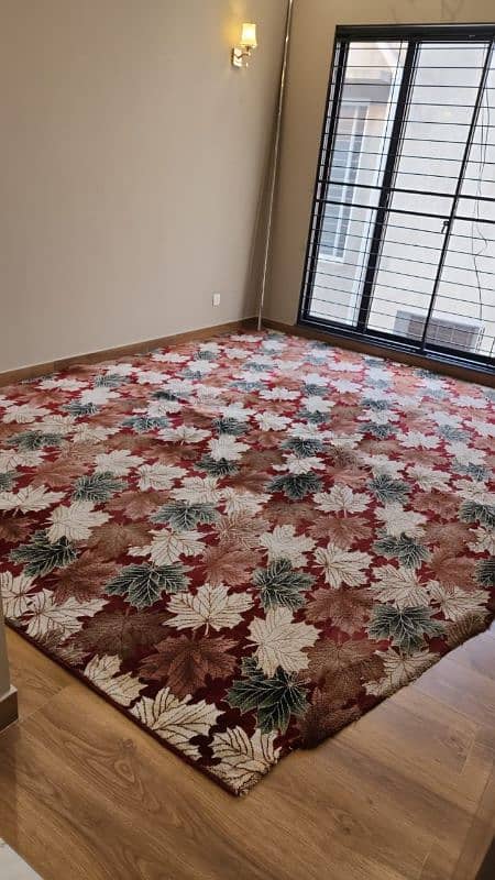 Room Carpet/Kaleen Thick & Soft 3