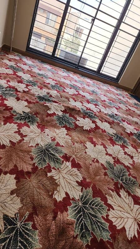 Room Carpet/Kaleen Thick & Soft 4