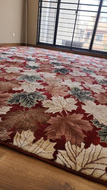 Room Carpet/Kaleen Thick & Soft 5