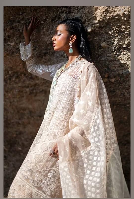 Beautiful Sana Safinaz Luxury Dress 3