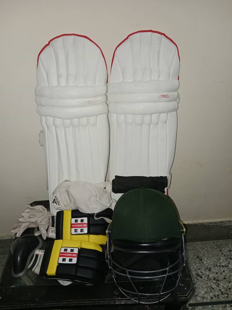 Professional Cricket Kit - Bat, Pads, Gloves, Helmet, and More 2