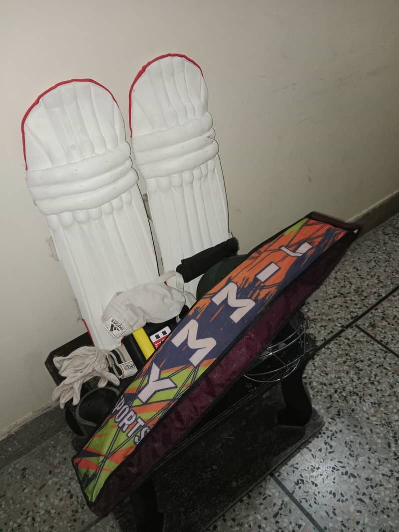 Professional Cricket Kit - Bat, Pads, Gloves, Helmet, and More 4