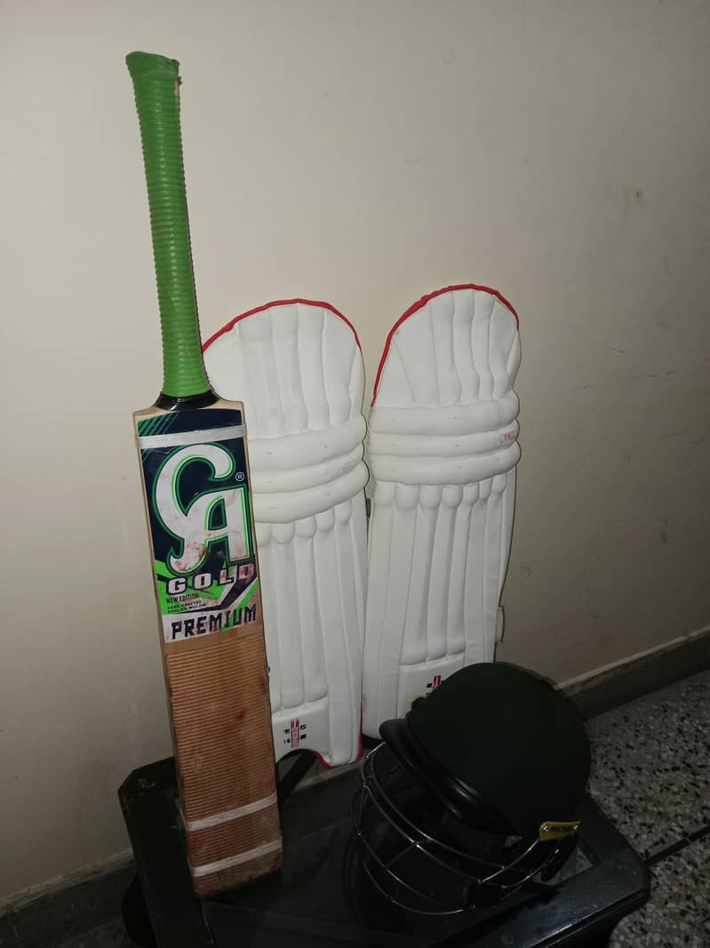 Professional Cricket Kit - Bat, Pads, Gloves, Helmet, and More 6