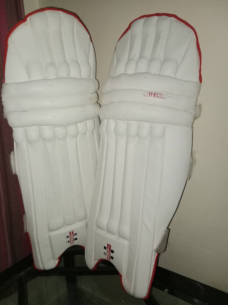 Professional Cricket Kit - Bat, Pads, Gloves, Helmet, and More 7