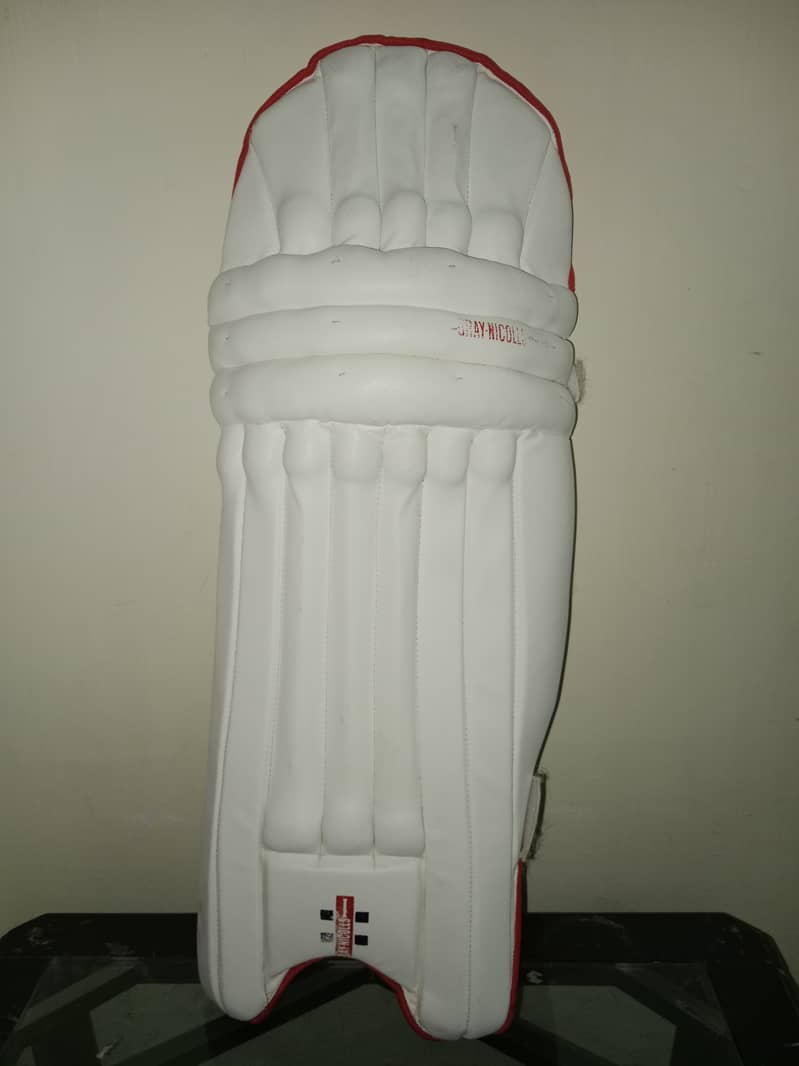 Professional Cricket Kit - Bat, Pads, Gloves, Helmet, and More 8