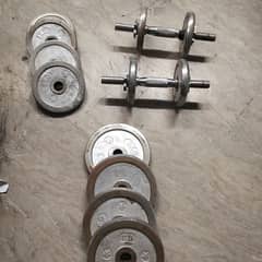 Gym weights