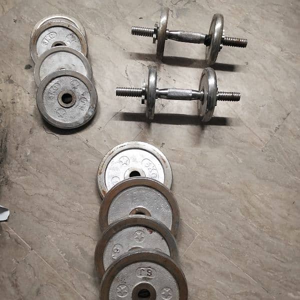 Gym weights 0