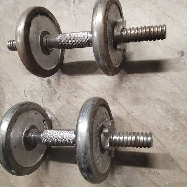 Gym weights 5