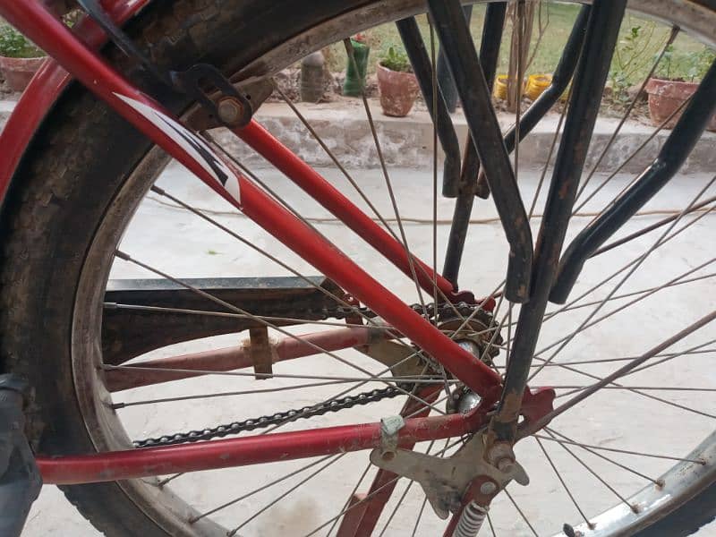 Full size fancy bicycle for sale 0