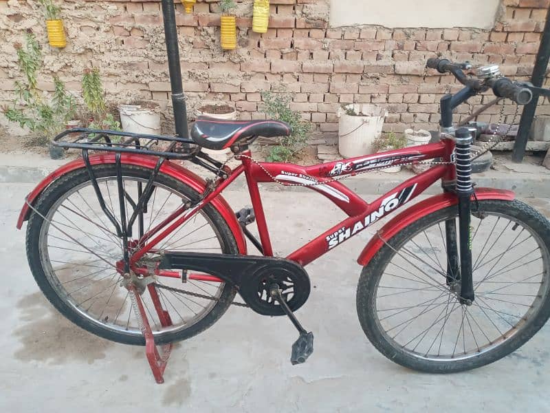 Full size fancy bicycle for sale 1