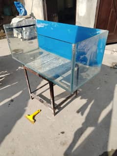 Fish Aquarium for Sale