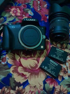 Panasonic Lumix camera with 64 gb card and tripod